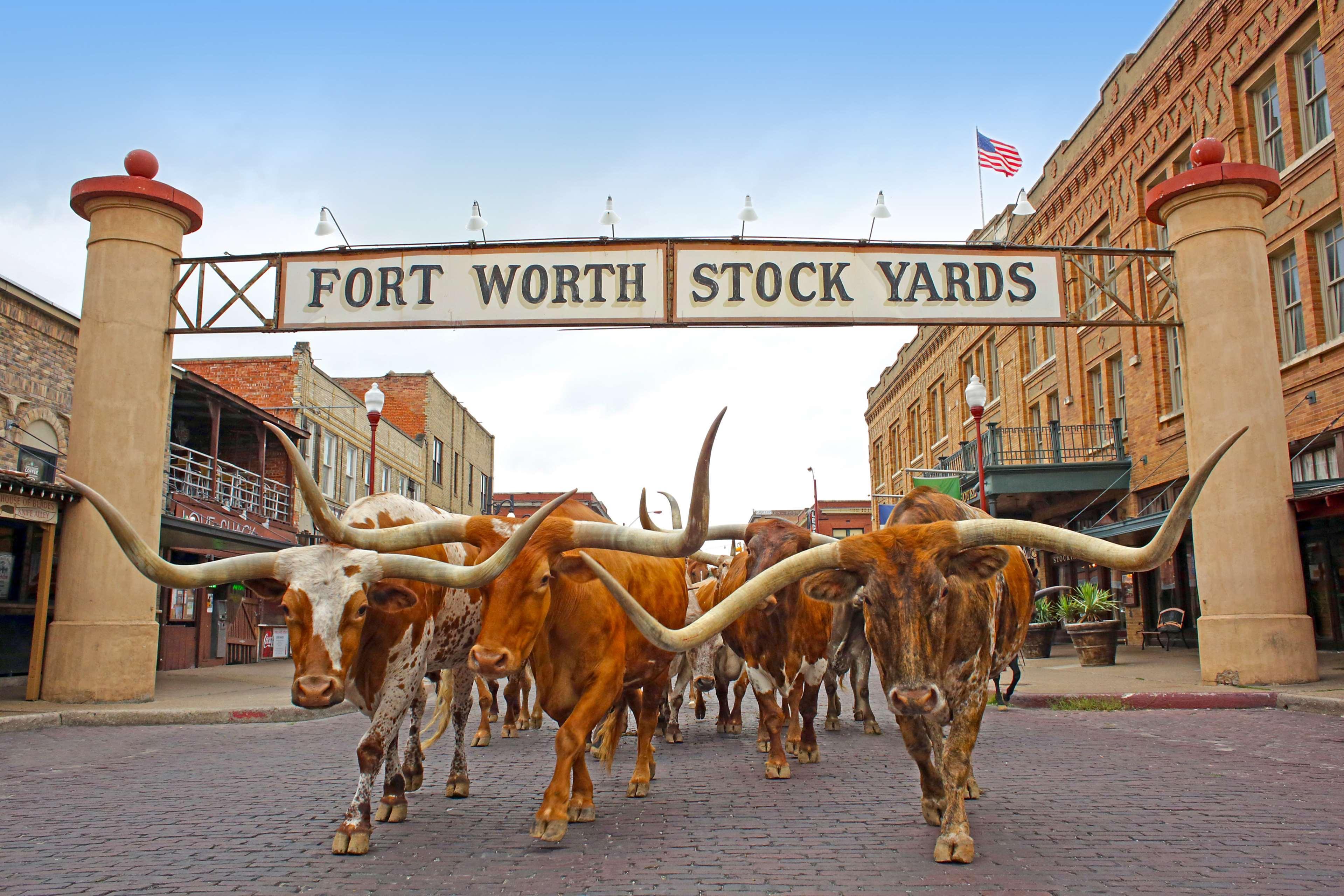 Radisson Hotel Fort Worth North-Fossil Creek Екстериор снимка